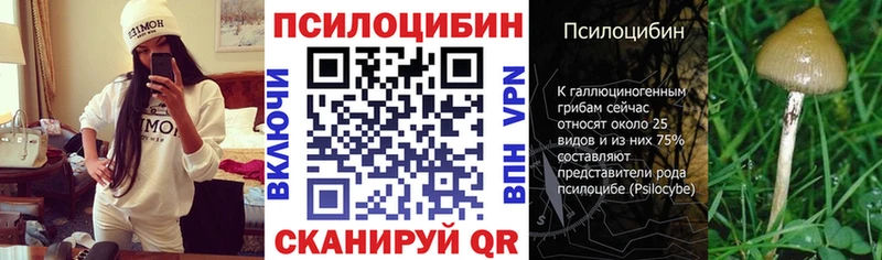 Галлюциногенные грибы GOLDEN TEACHER  купить   Нарткала 