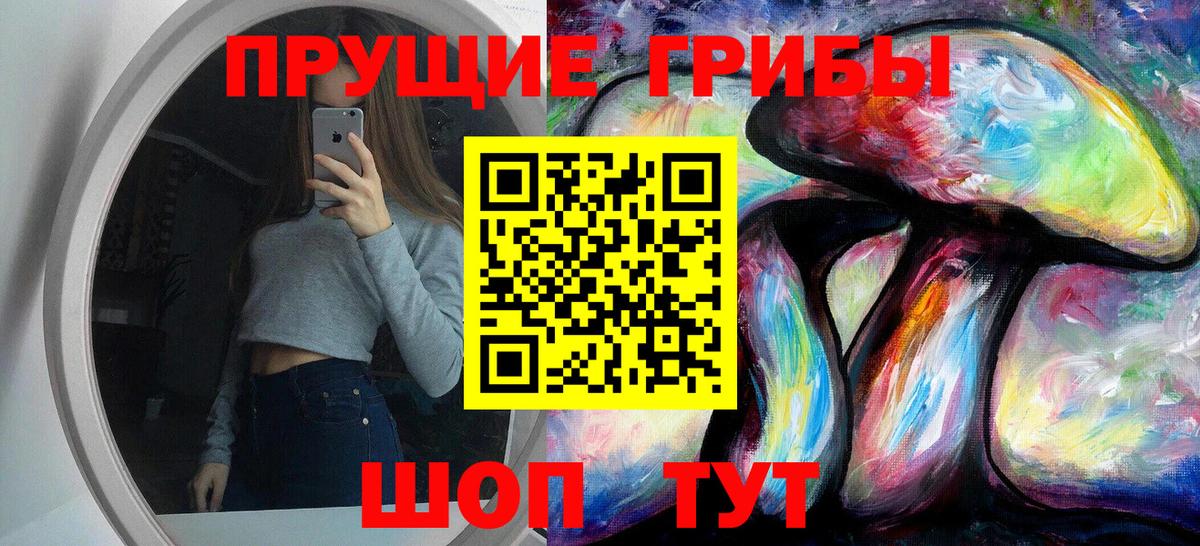Псилоцибиновые грибы мицелий Нарткала